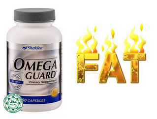 http://efizadshop.files.wordpress.com/2013/05/omega-bakar-lemak.png